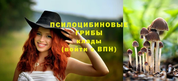 мескалин Балахна