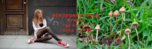 амф Баксан