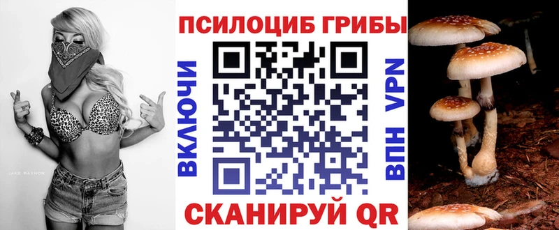 Псилоцибиновые грибы MAGIC MUSHROOMS  Магас 